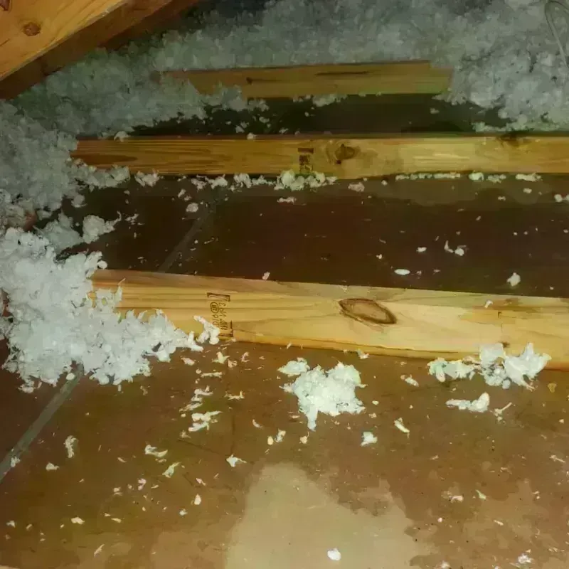 Attic Water Damage in Ridgeville, SC